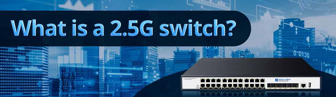 What is a 2.5G switch