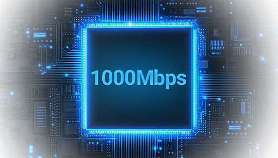 Gigabit Ethernet RJ45 ports maintaining full-duplex 1000Mbps wire-speed data throughput.
